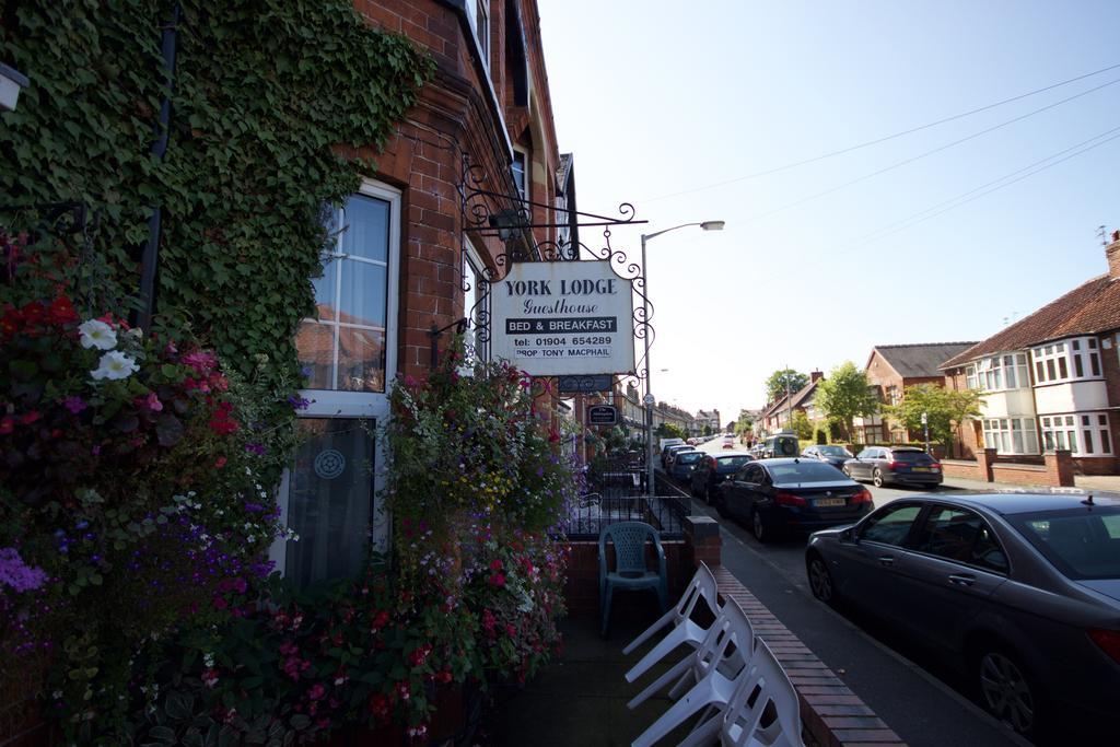 York Lodge Guesthouse エクステリア 写真