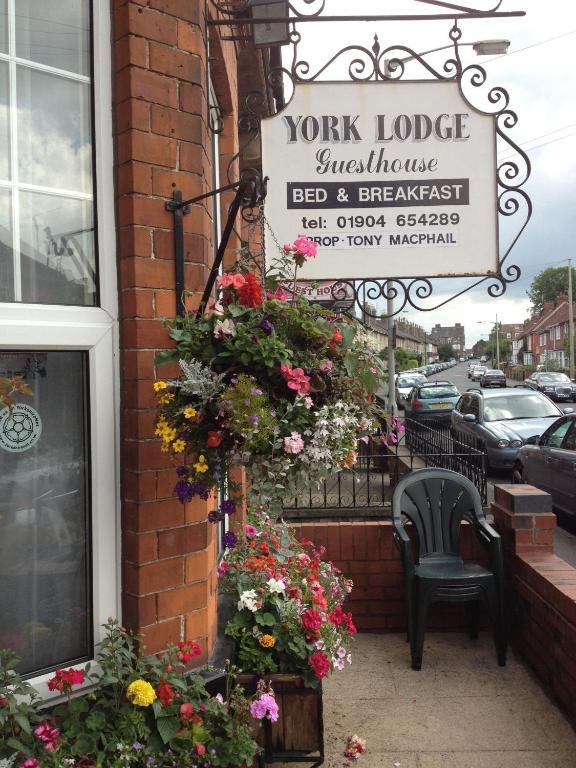 York Lodge Guesthouse 部屋 写真